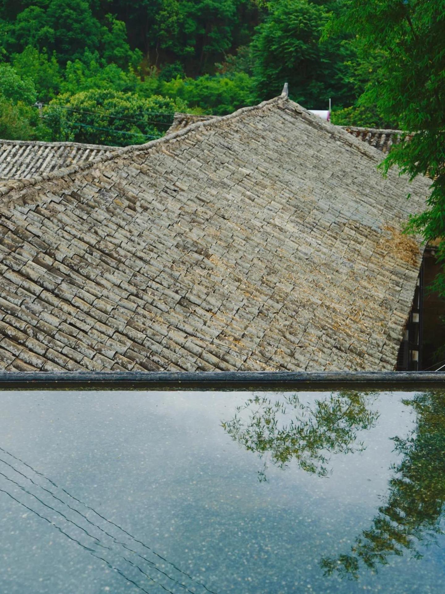 No Flowers Boutique Hostel Kunming Exterior photo